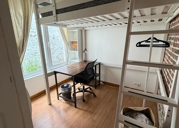 Apartamento T2 Calme Au Coeur De Wazemmes *